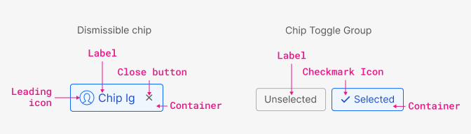 chip anatomy chip anatomy