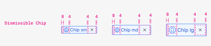 chip dismissible chip dismissible
